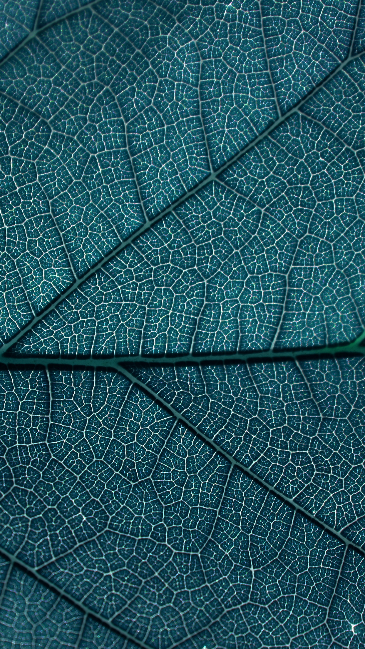 Leaf Blue Dark Nature Texture Pattern Android Wallpaper - Iphone X Leaf Wallpaper Hd - HD Wallpaper 
