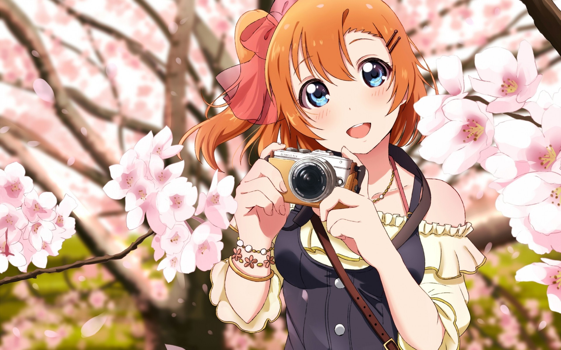 Kousaka Honoka, Sakura Petals, Camera, Smiling, Love - Honoka Kousaka - HD Wallpaper 