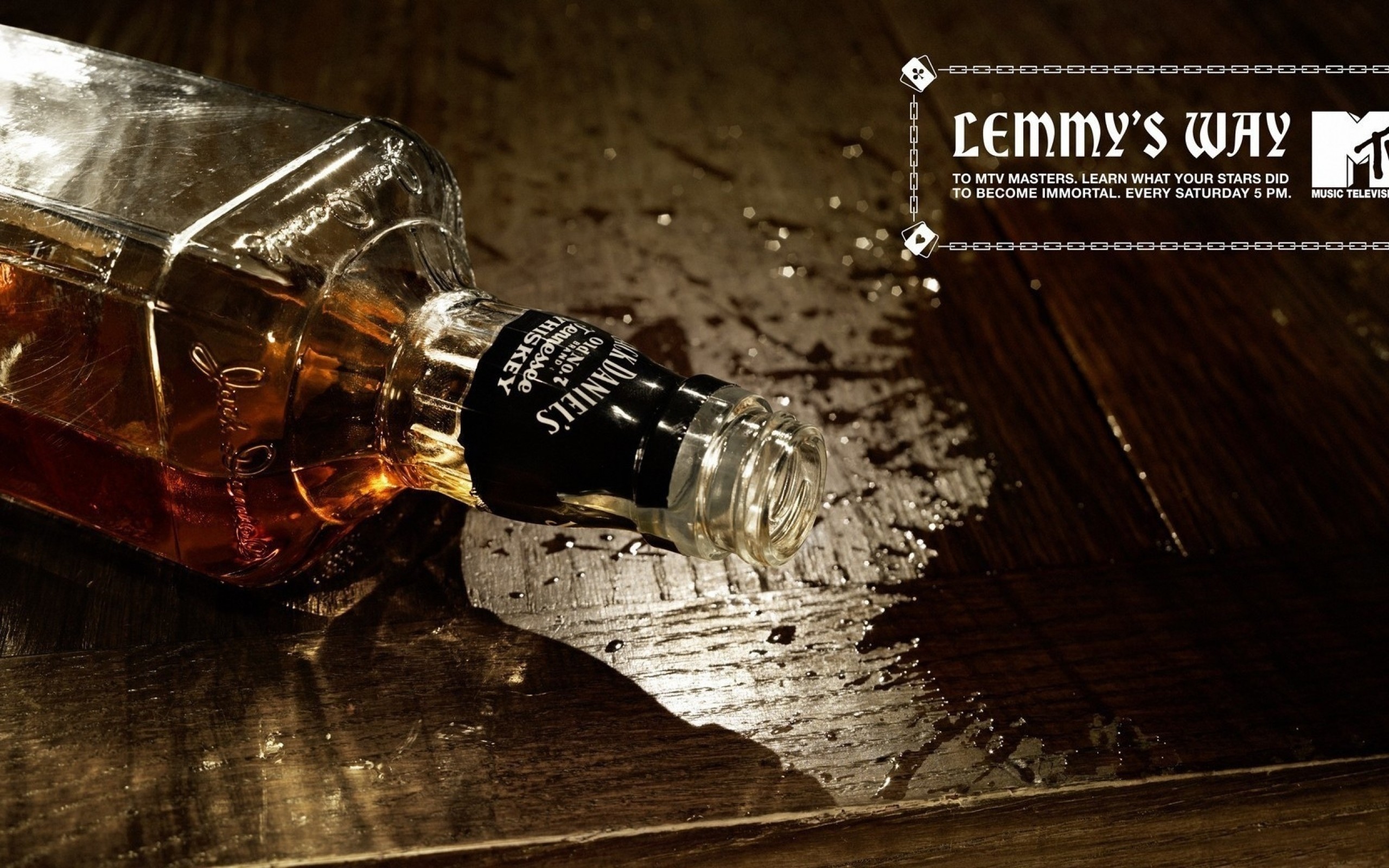 2560x1600, Whiskey Motorhead Mtv Lemmy Jack Daniels - Facebook Jack Daniels Sexy - HD Wallpaper 