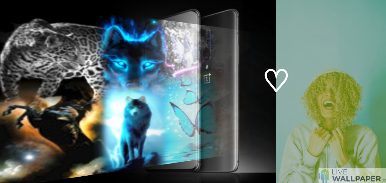 Why And How Christmas Is Celebrated Around The World - Kitten - HD Wallpaper 