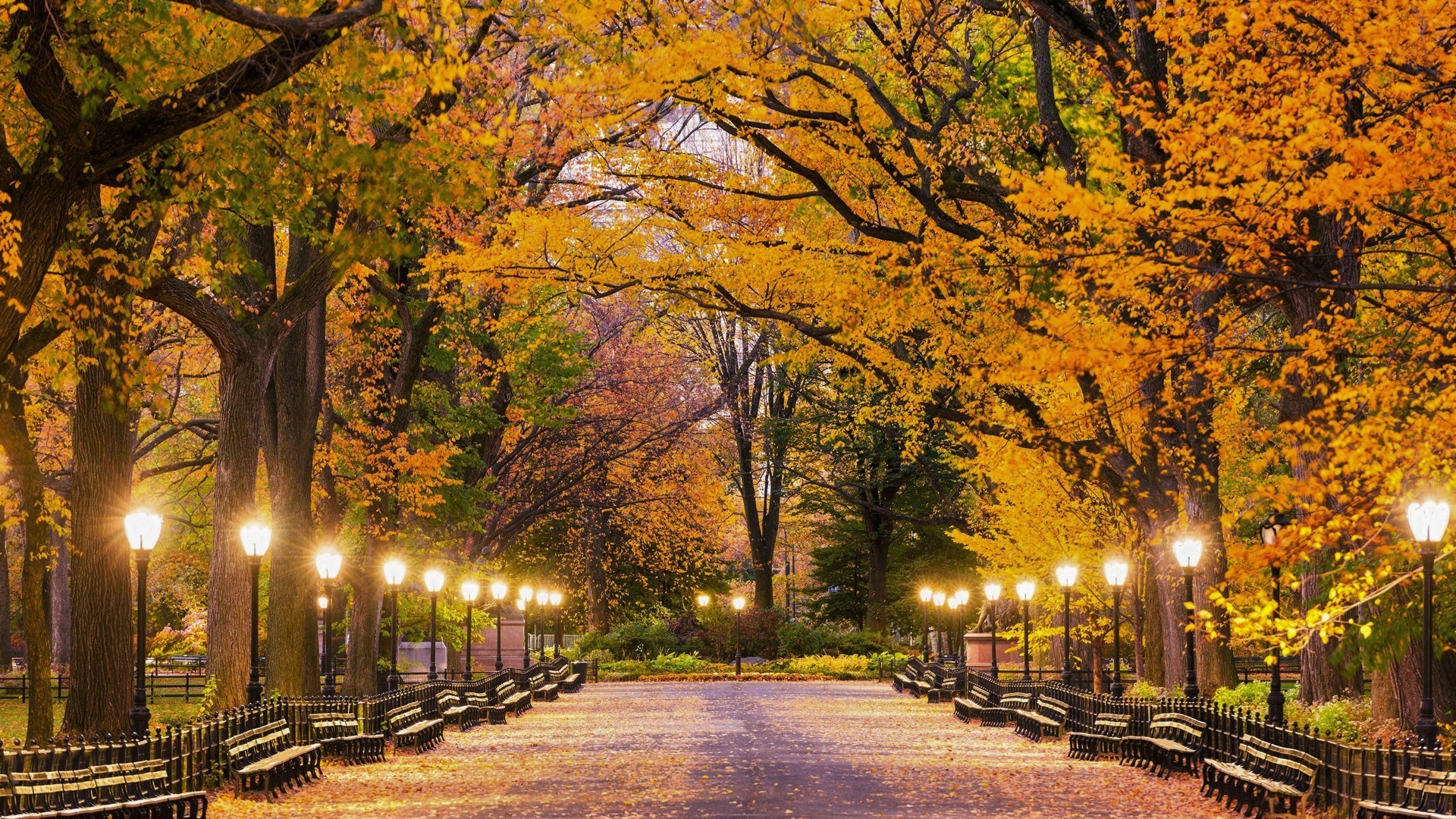 1920x1080, Central Park In Autumn Hd Wallpaper - HD Wallpaper 