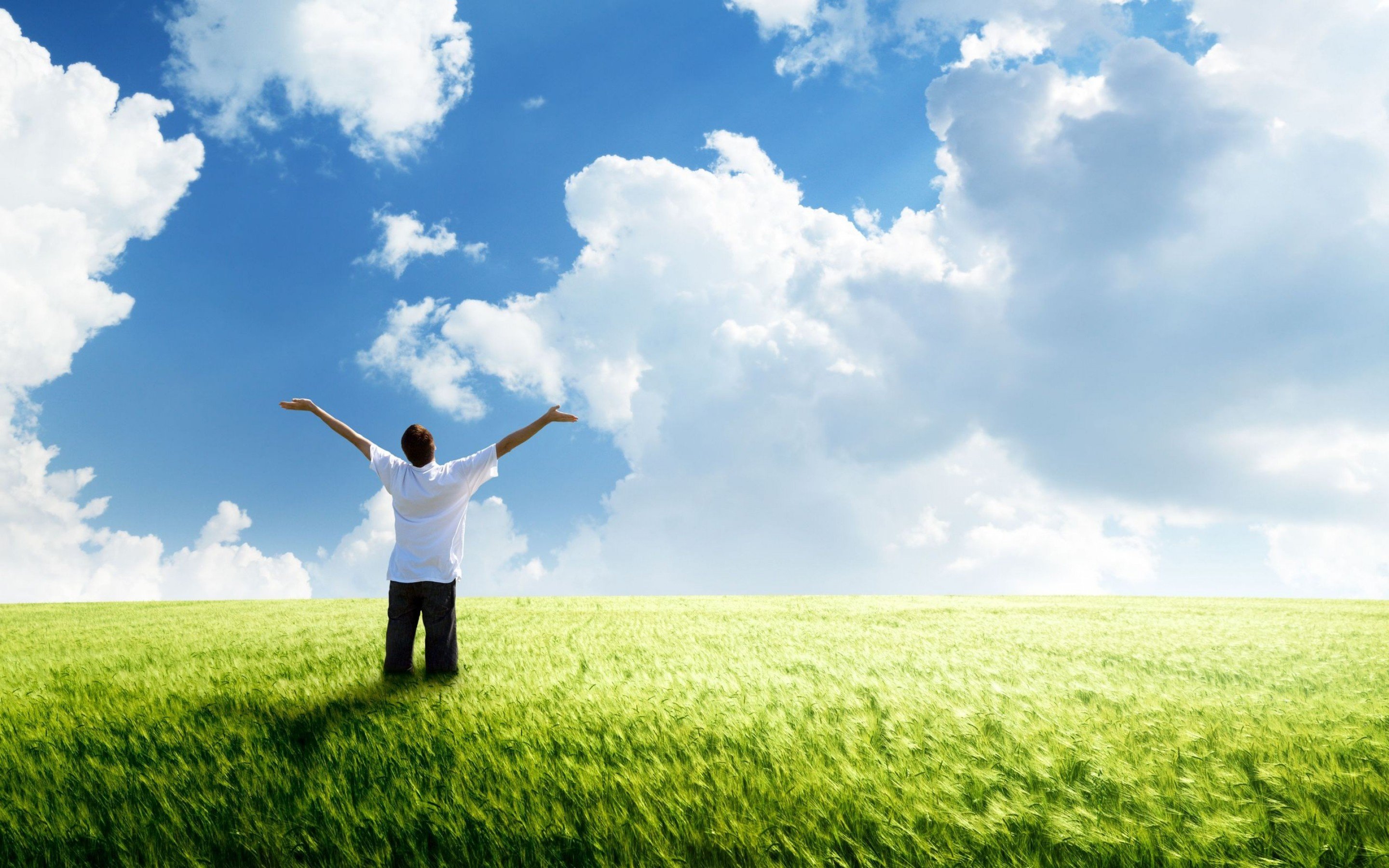 Freedom Nature - HD Wallpaper 