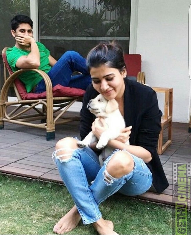 Samantha Ruth Prabhu - Samantha And Naga Chaitanya Cute - HD Wallpaper 