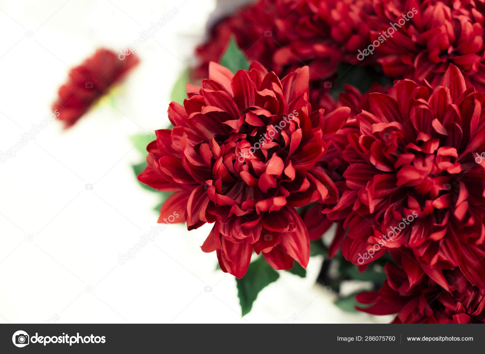 Bouquet - HD Wallpaper 