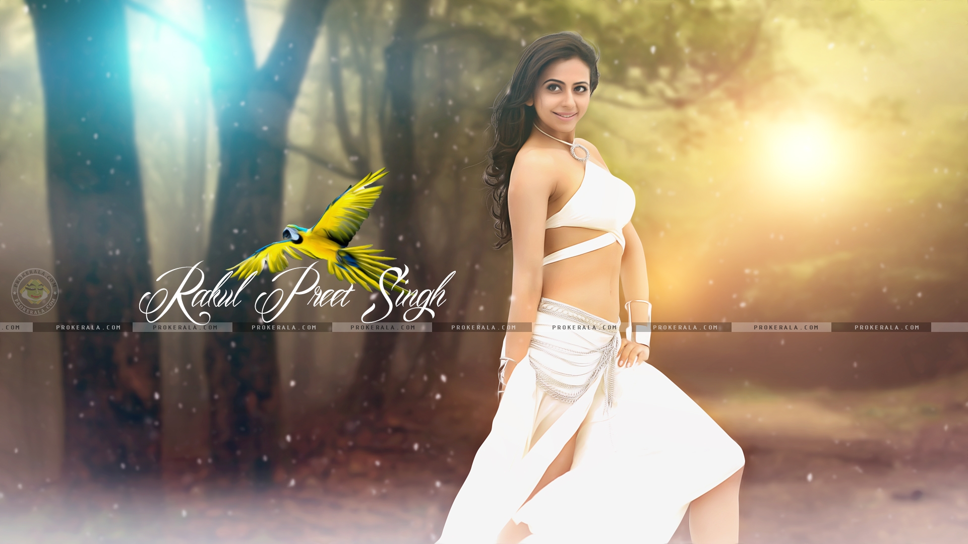 Rakul Preet Singh Bruce Lee Beautiful Hd - HD Wallpaper 