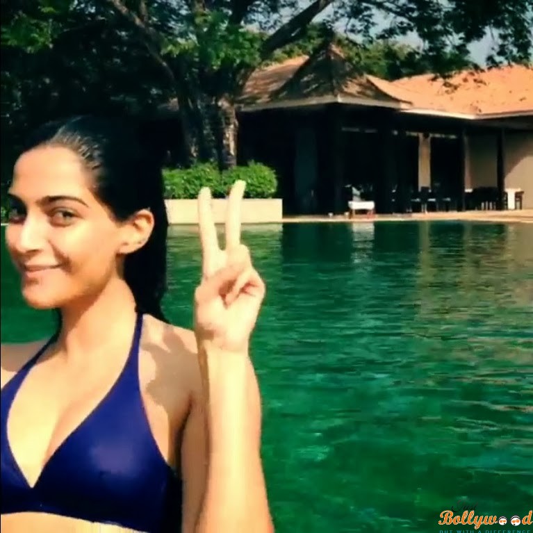 Sonam - Sonam Kapoor Nipple Slip - HD Wallpaper 