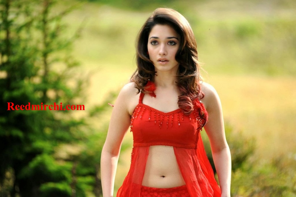 Tamanna Bhatia Indian Actress - HD Wallpaper 