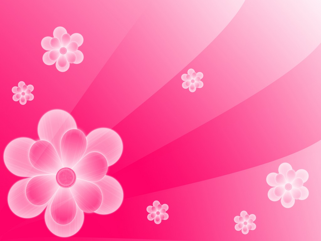 Flower Pink Background Hd - HD Wallpaper 