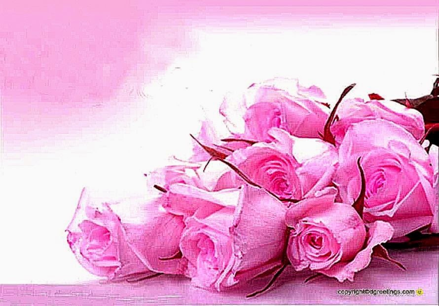 Sweet Roses Pink Color Wallpaper Hd Hd Wallpaper Season - Sweet Cute Wallpaper Love - HD Wallpaper 