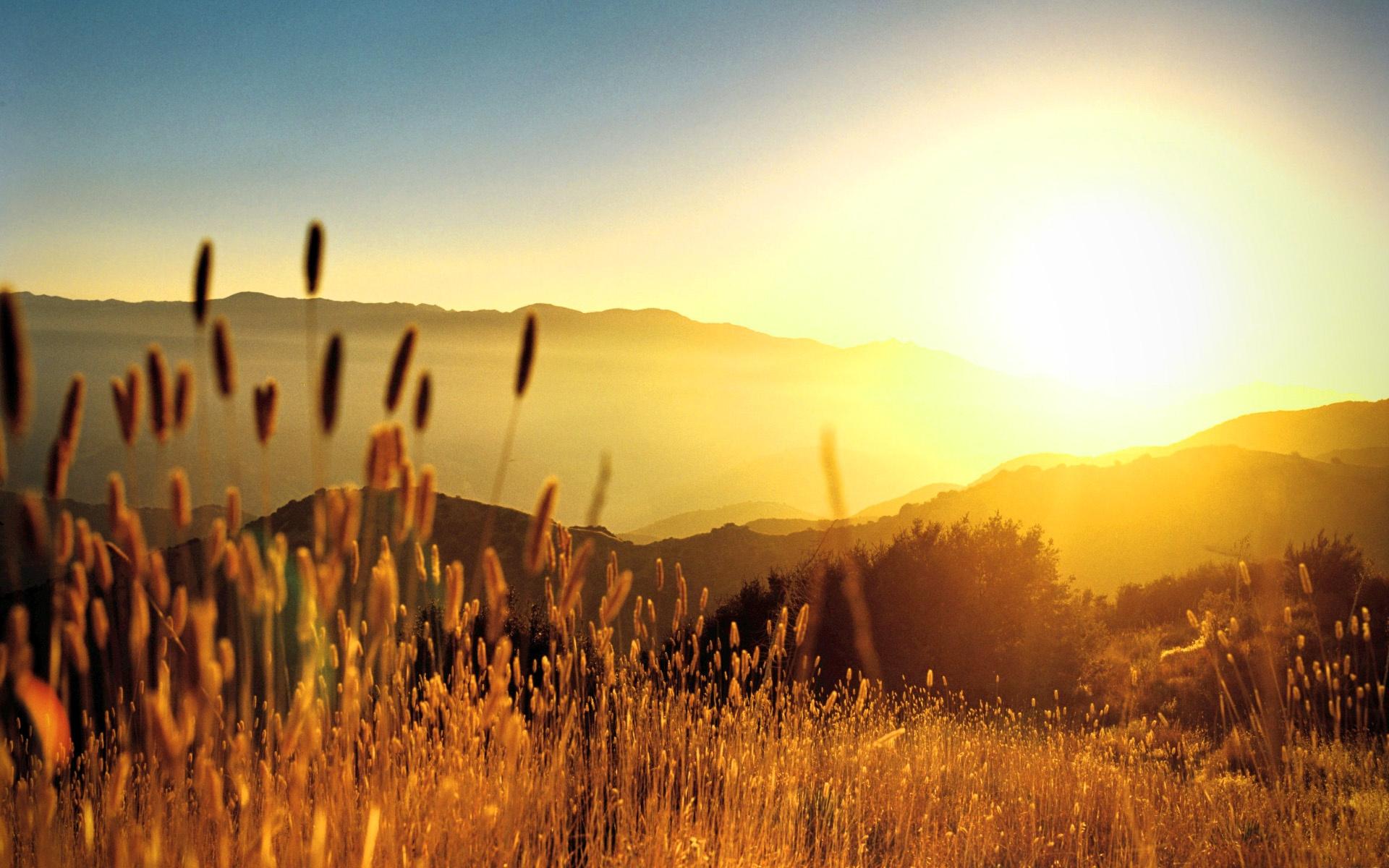 Nature Hd Wallpaper For Widescreen - HD Wallpaper 