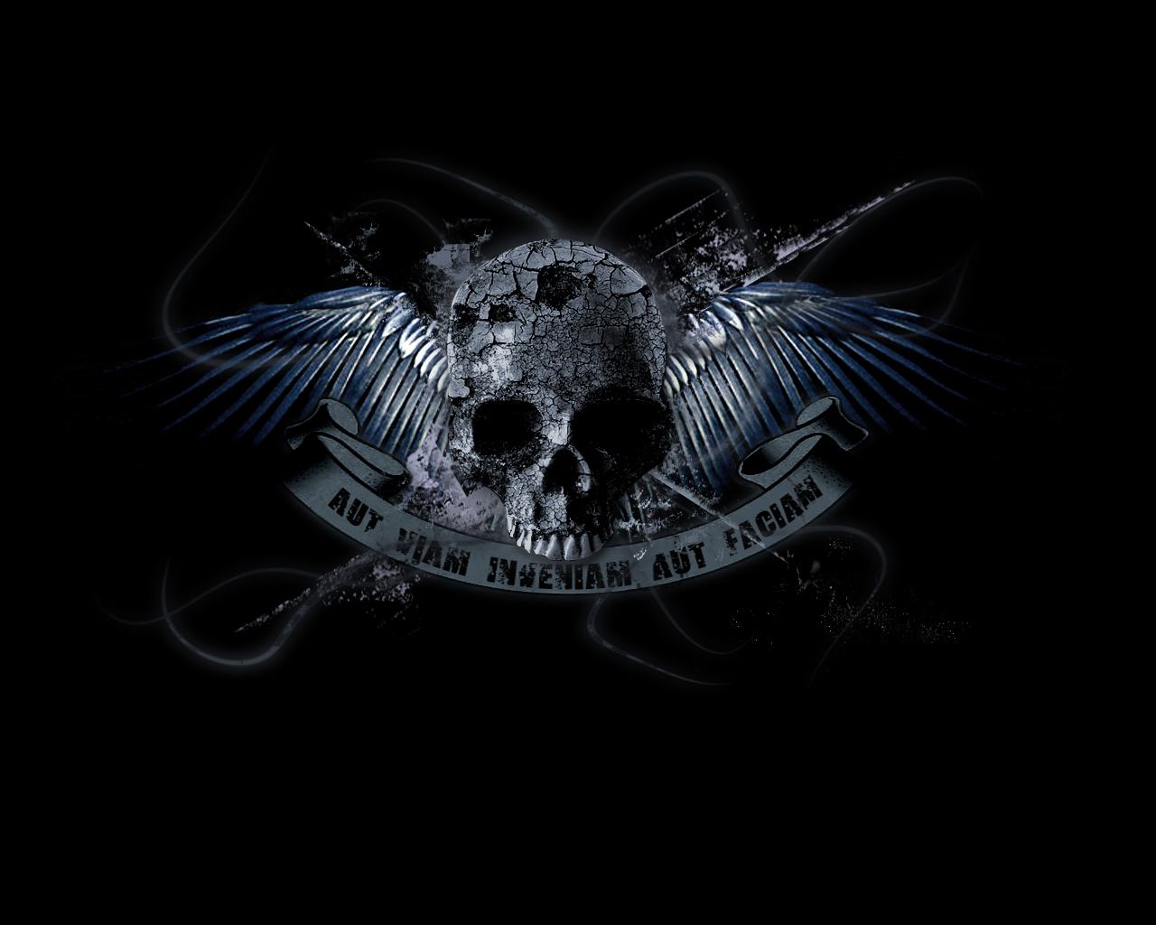Skull Wallpaper - HD Wallpaper 