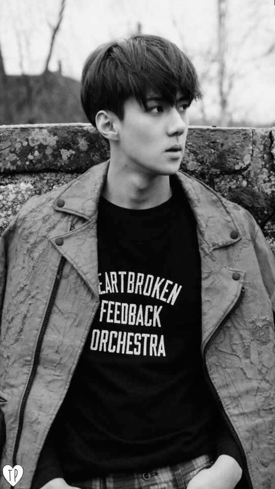 Sehun Wallpaper - Sehun Exo Heartbroken Feedback - HD Wallpaper 