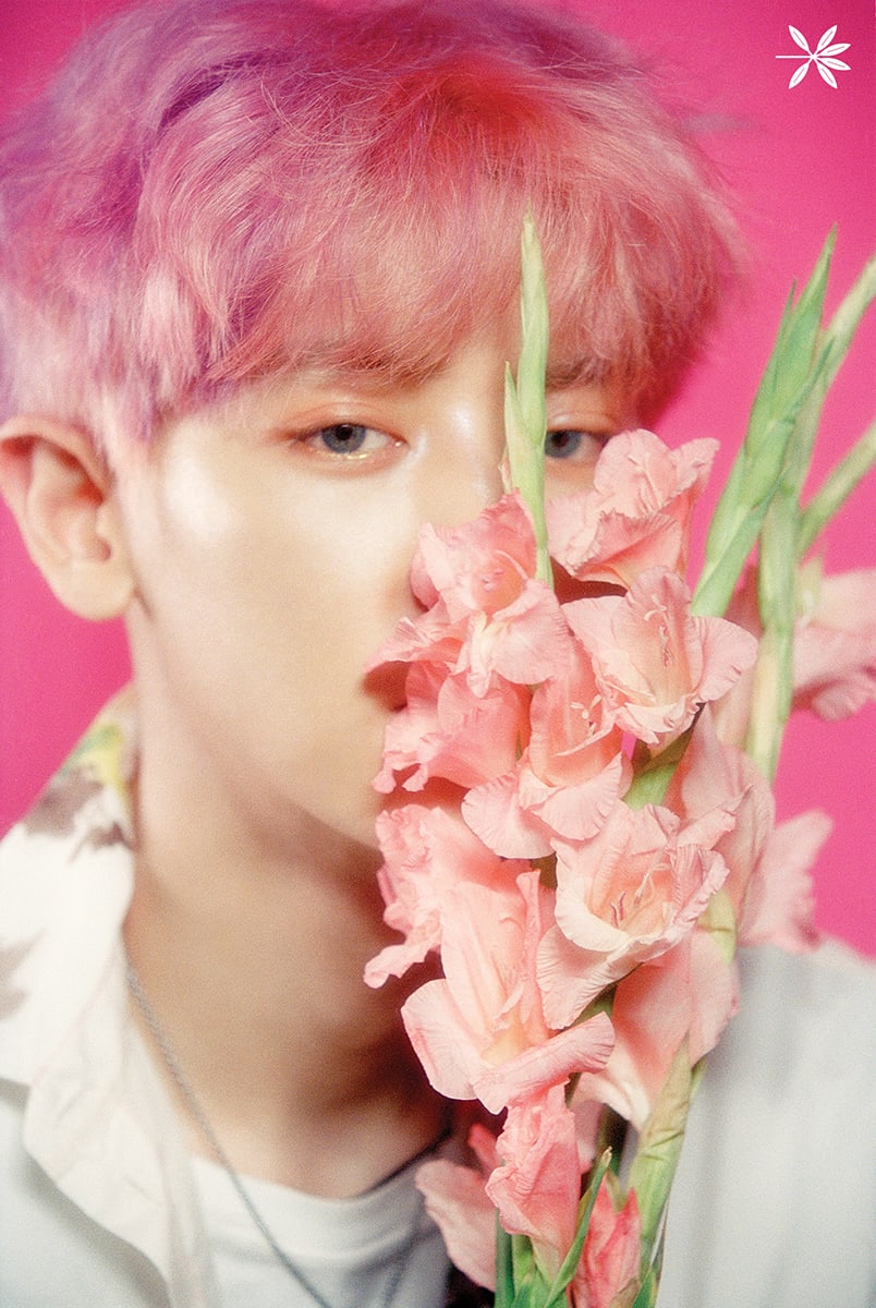 Exo Koko Bop Chanyeol - HD Wallpaper 