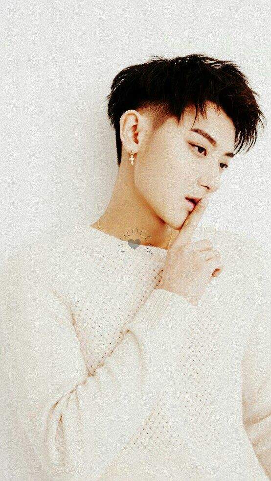 User Uploaded Image - Tao - HD Wallpaper 