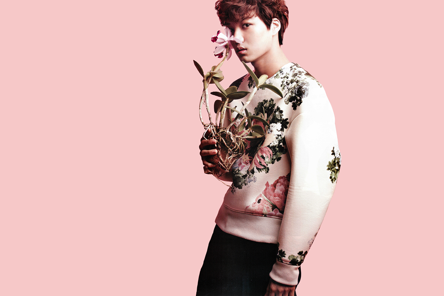 Exo Kai Flower - HD Wallpaper 