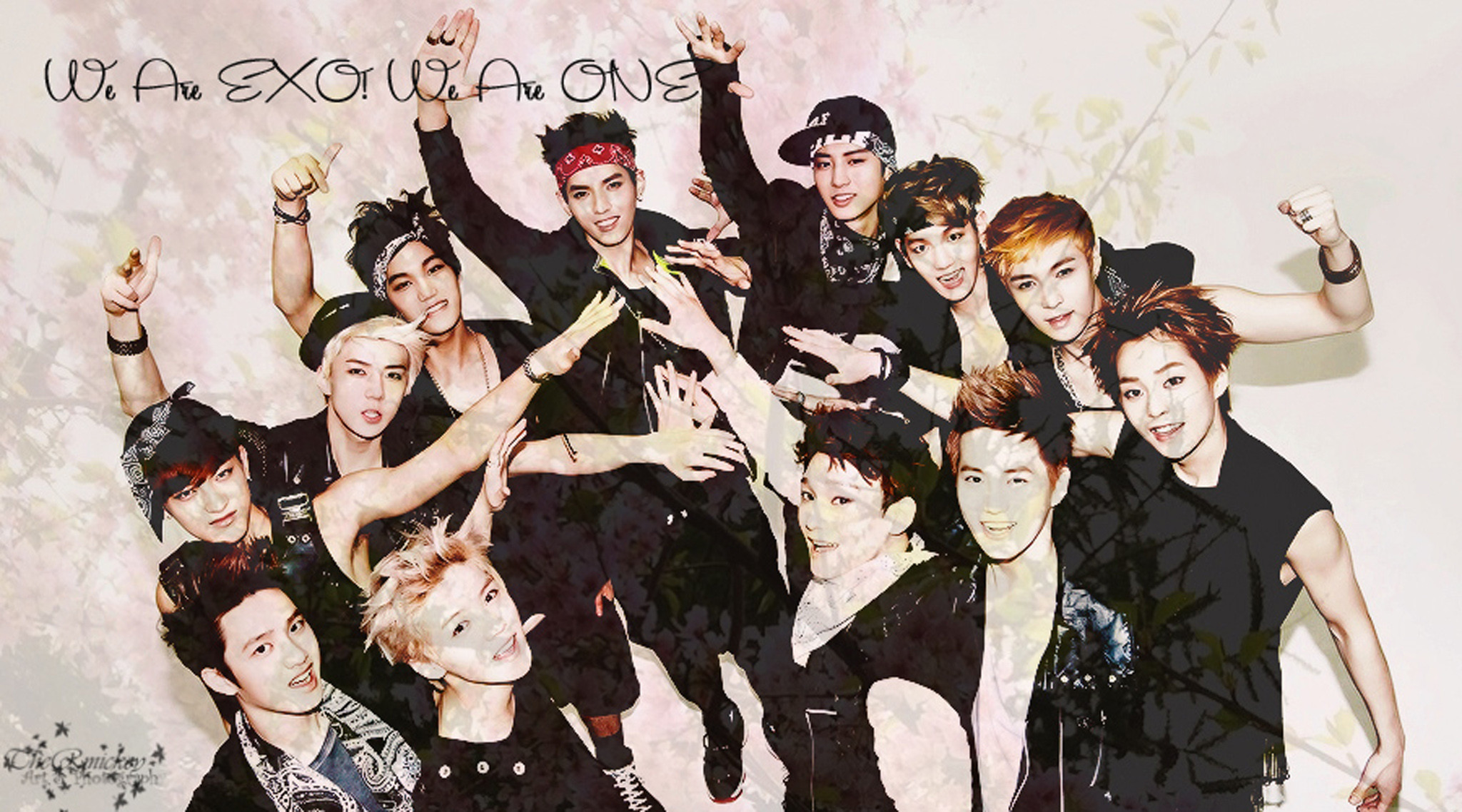 2048x1138, We Are Exo By The Rmickey 
 Data Id 51907 - Exo We Are One - HD Wallpaper 