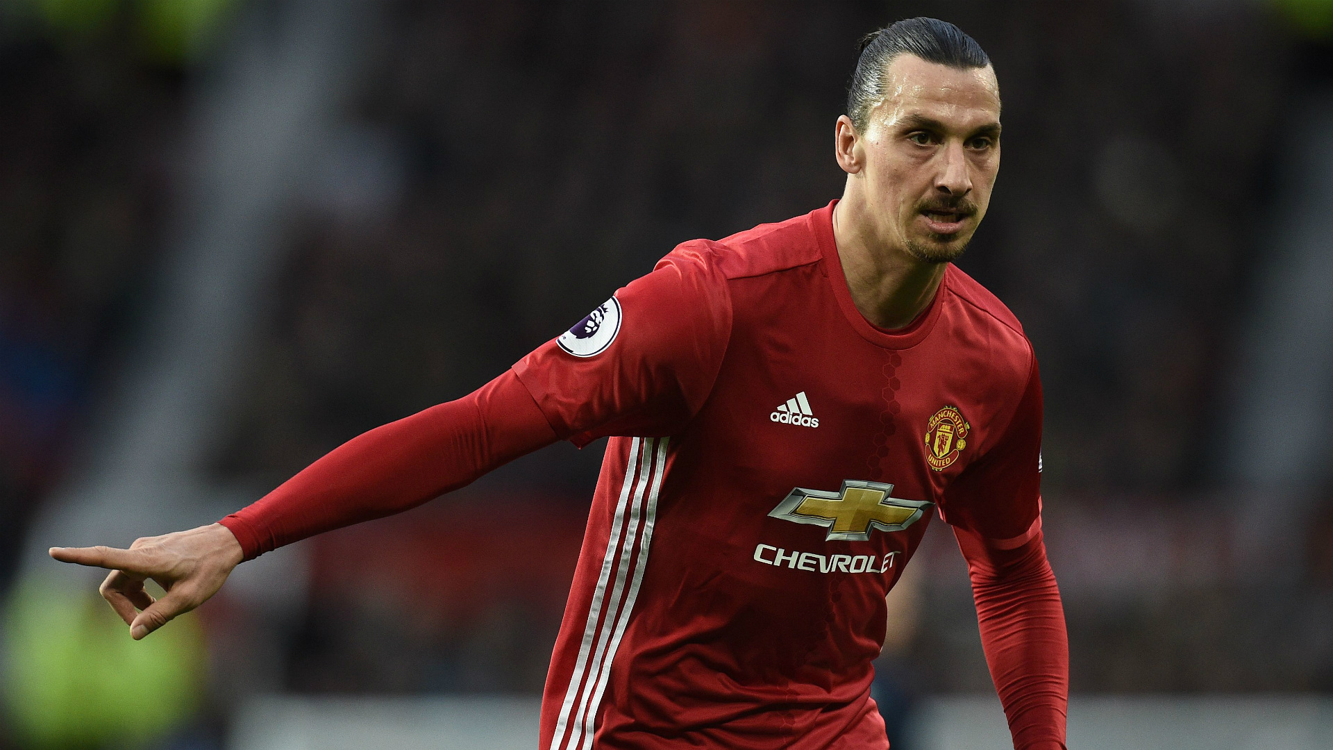 Zlatan Ibrahimović Angry Man Utd - HD Wallpaper 
