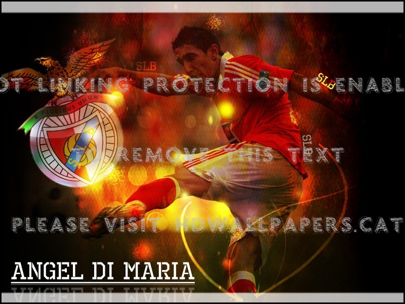 Angel Di Maria Campeoes Aguia Dimaria Da - Shark With Bloody Teeth - HD Wallpaper 