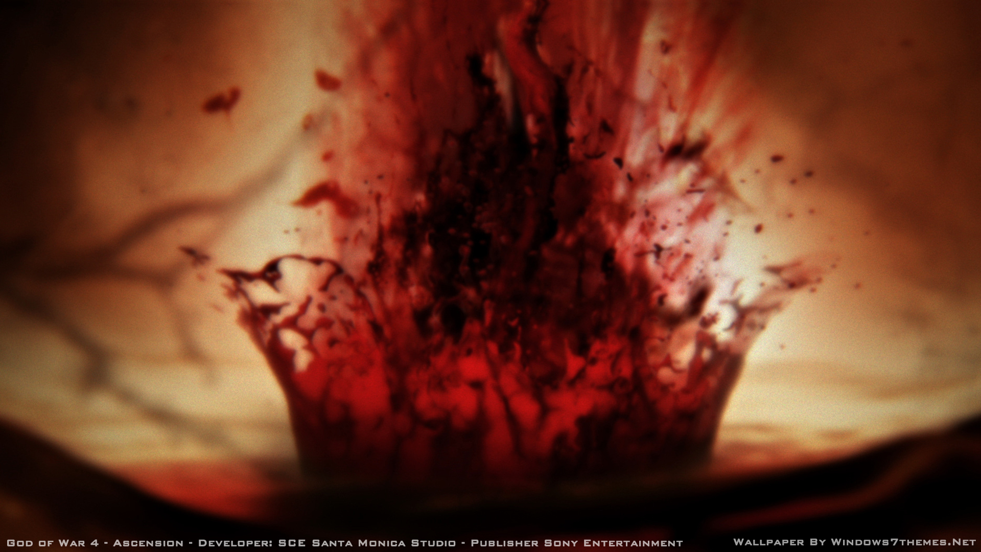 Close-up - HD Wallpaper 