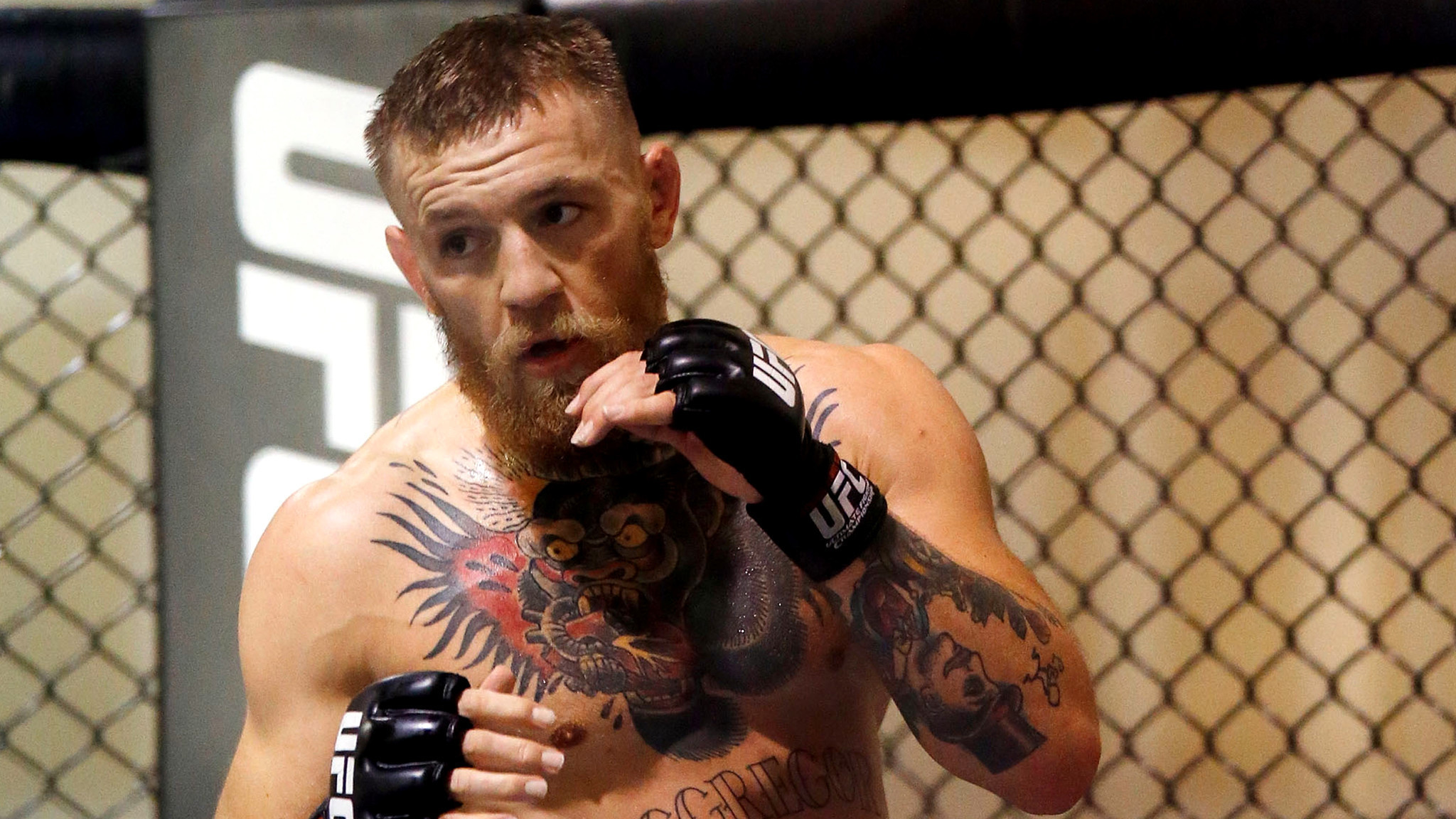 Conor Mcgregor Computer Backgrounds - Conor Mcgregor - HD Wallpaper 