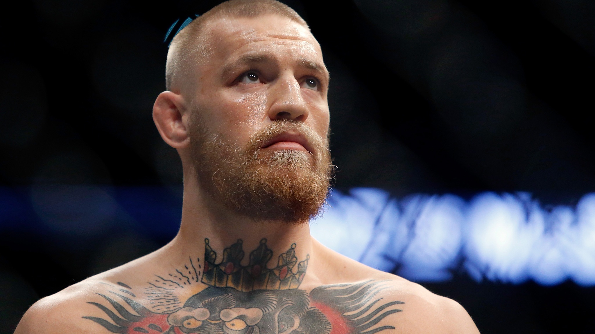 Conor Mcgregor Bald - HD Wallpaper 