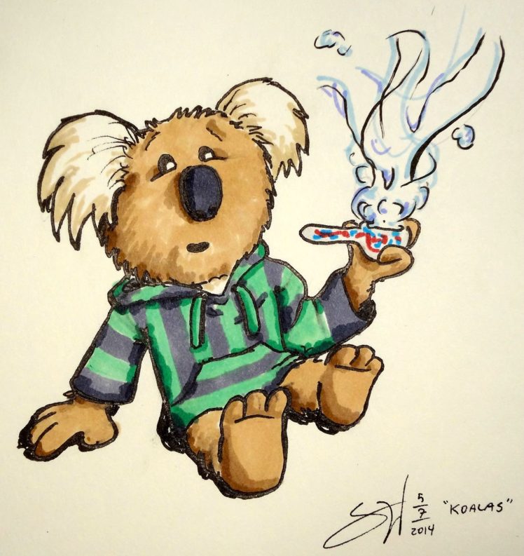 Stoned Koala Bear Cartoon - 748x793 Wallpaper 