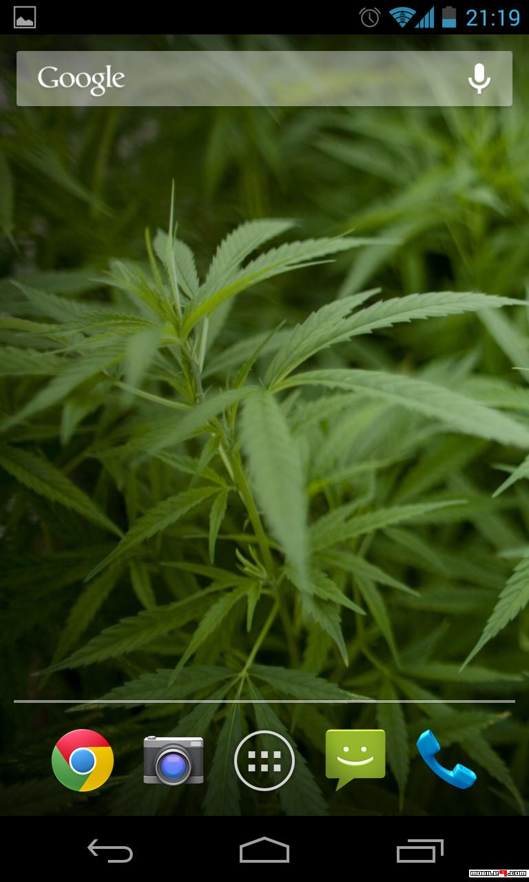 Ice Cream Sandwich Screenshots - HD Wallpaper 