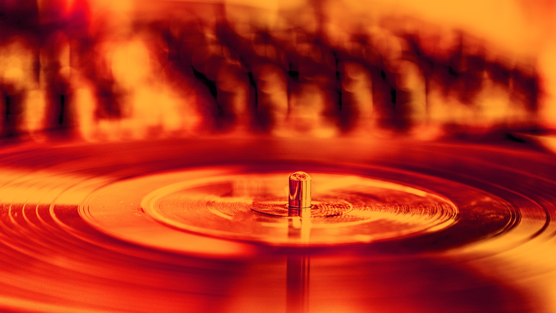 Macro Photography - HD Wallpaper 