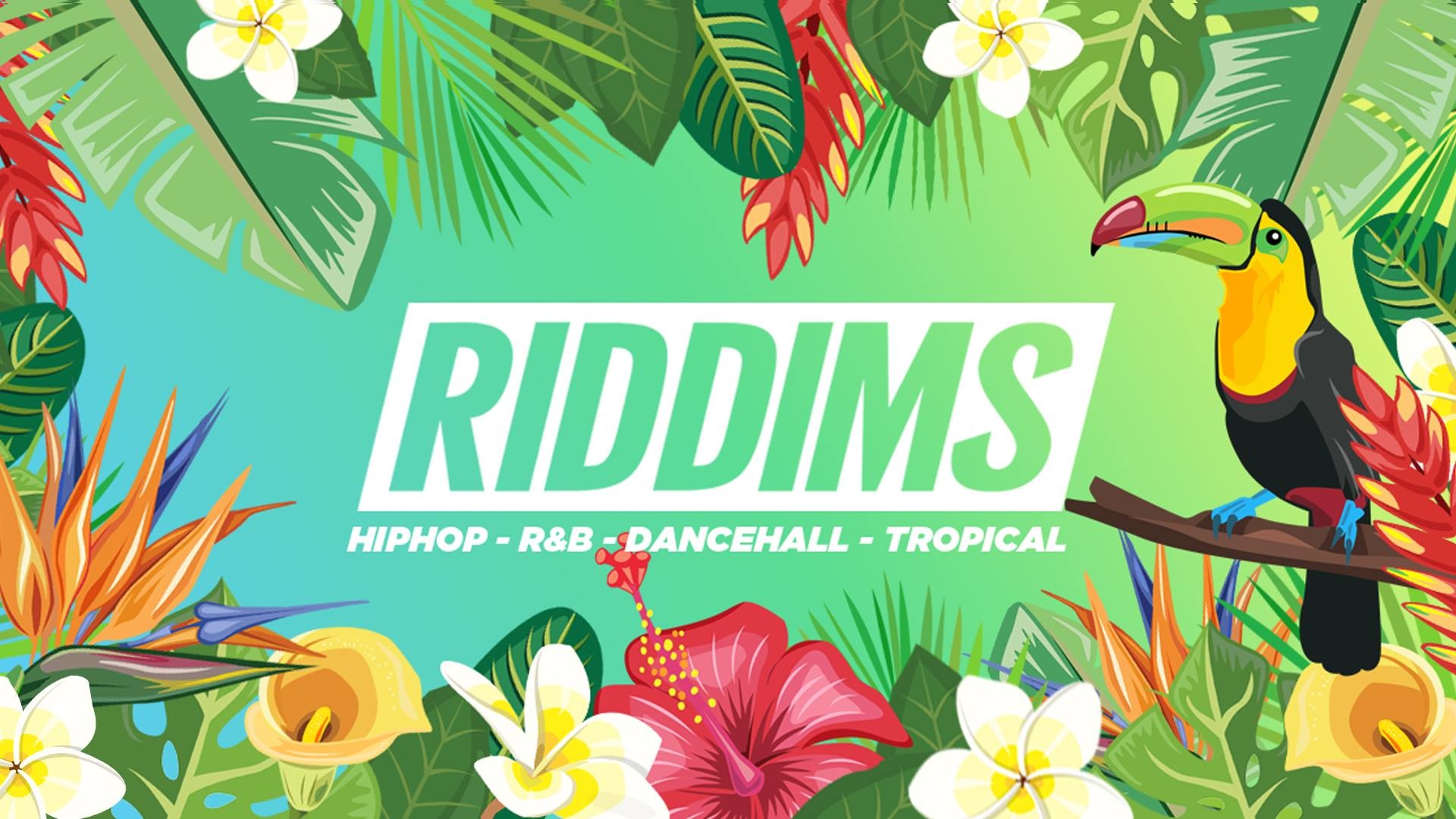 Flyer Riddims - Chinese Hibiscus - HD Wallpaper 