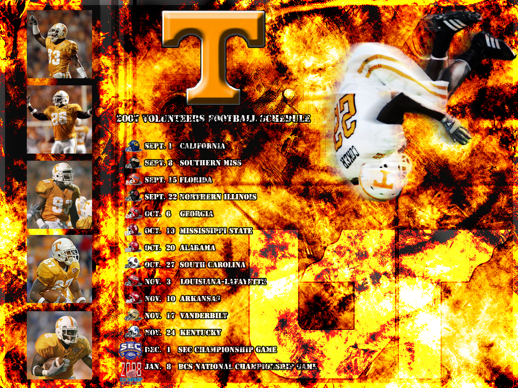 Newutwallpaper - Poster - HD Wallpaper 