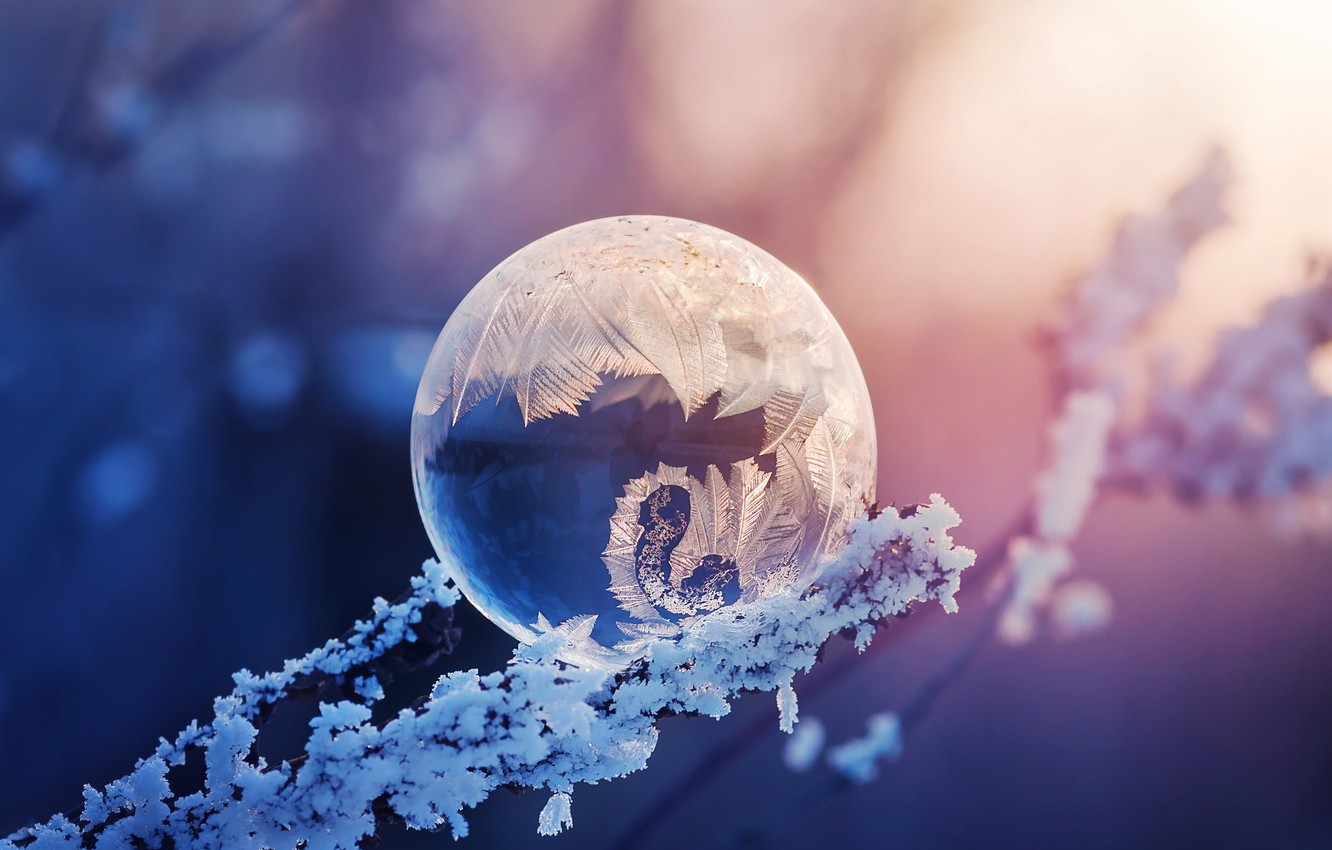 Photo Wallpaper Frost, Macro, Branches, Pattern, Frost, - Frost Bubble - HD Wallpaper 