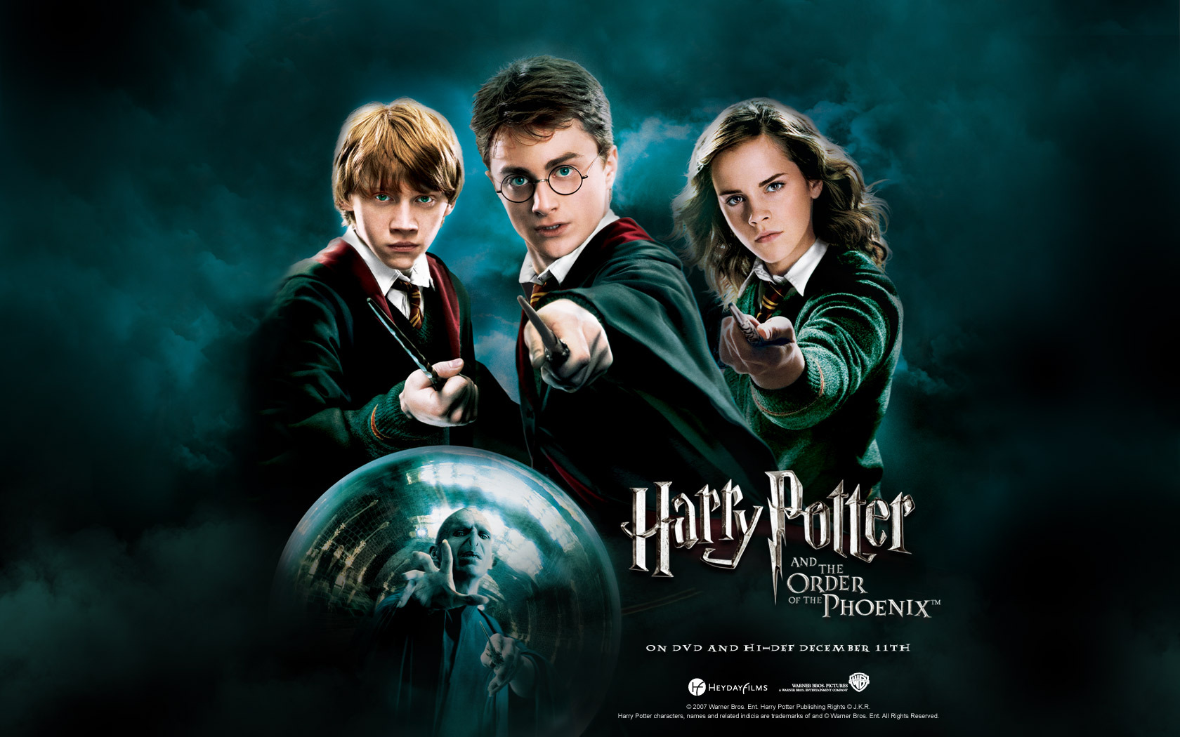 Order Of The Phoenix - Harry Potter And The Order Of The Phoenix - HD Wallpaper 