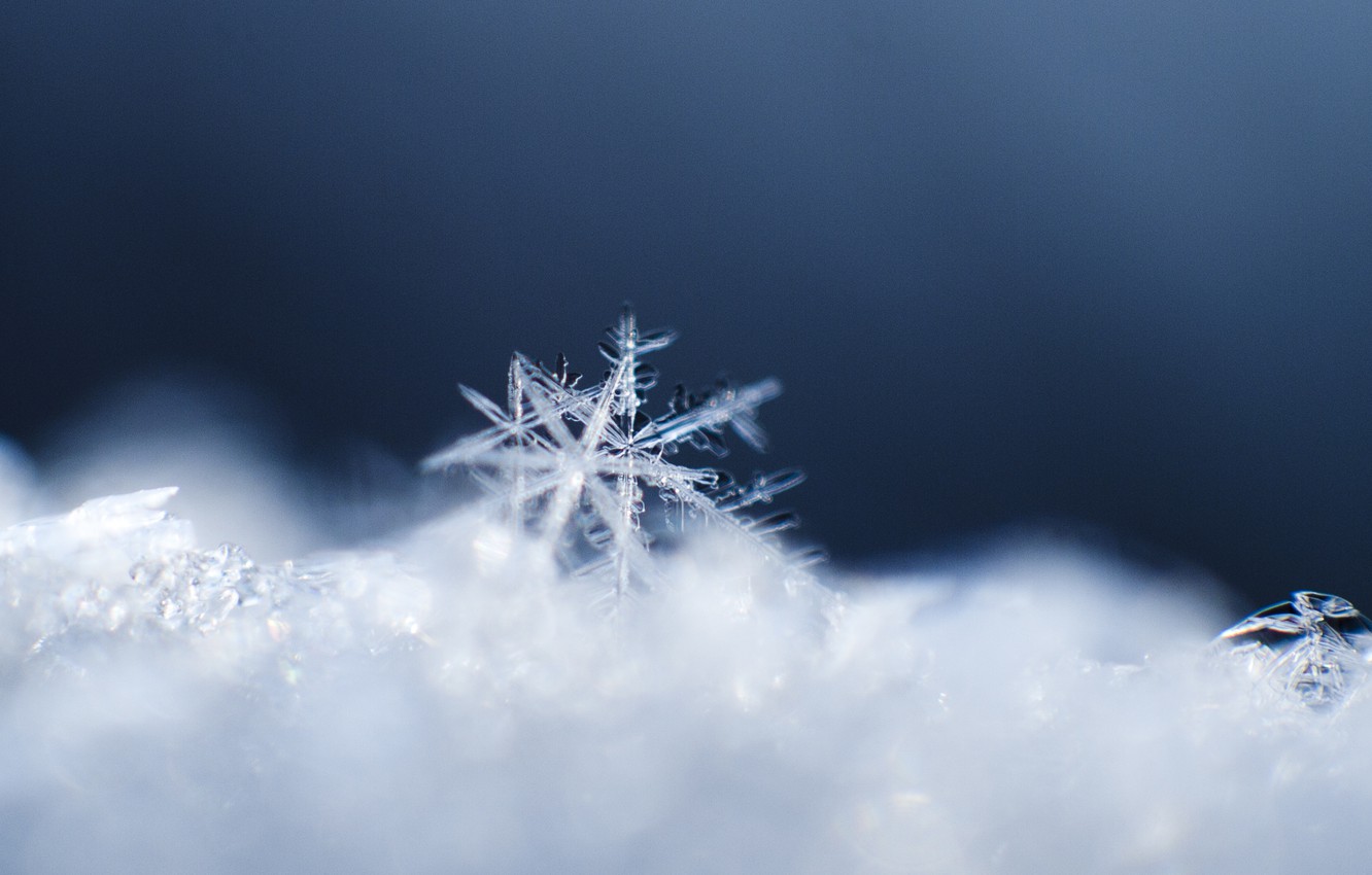 Photo Wallpaper Crystal, Macro, Snow, Pattern, Snowflake - Snow Close Up Photography - HD Wallpaper 
