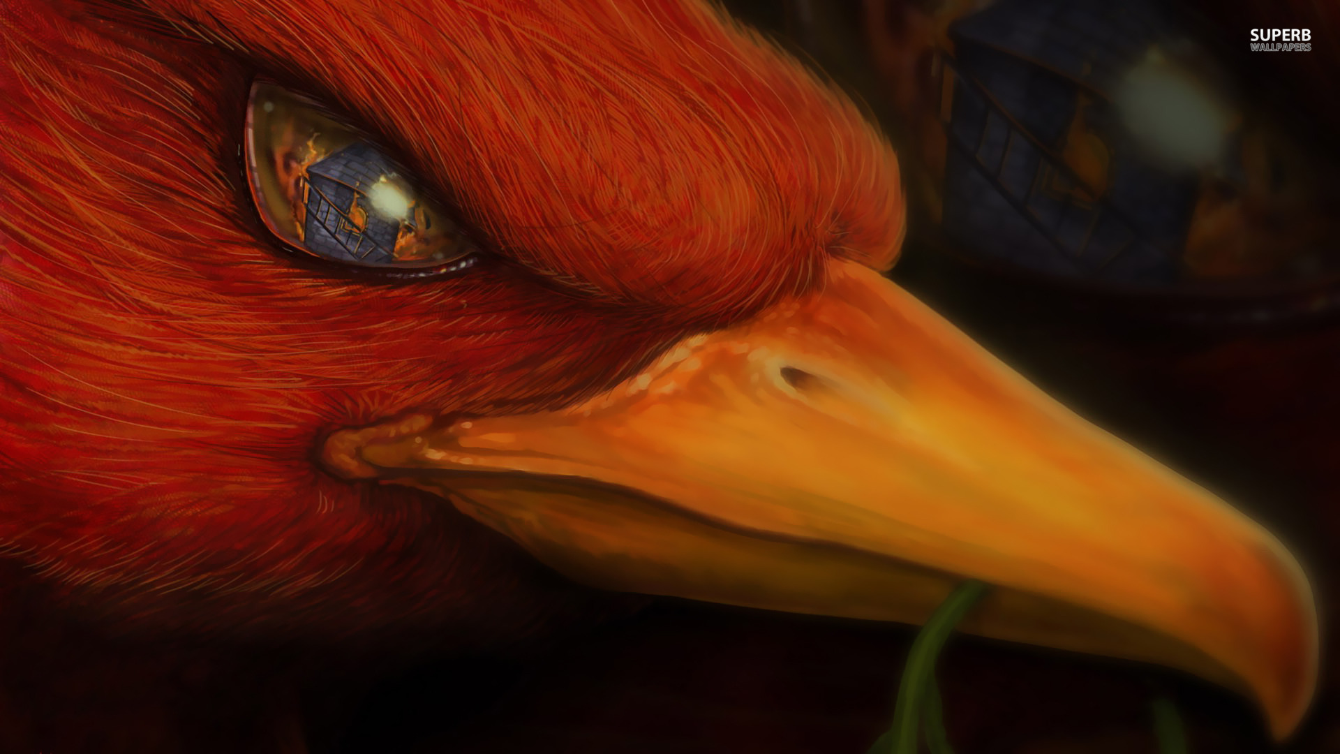 Phoenix Head Fantasy Phoenix Bird Desktop Hd Stores - HD Wallpaper 