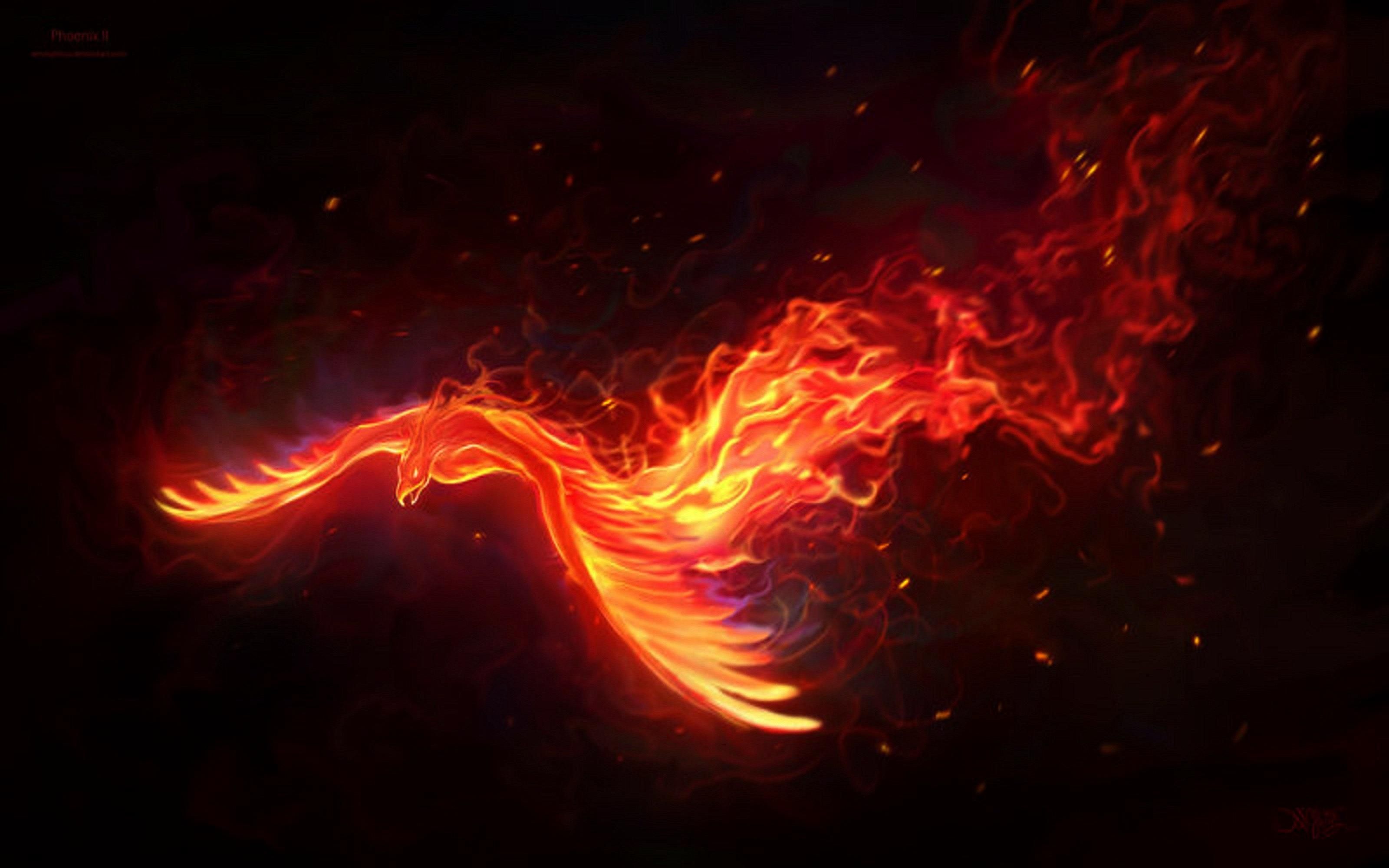Fire Phoenix - HD Wallpaper 