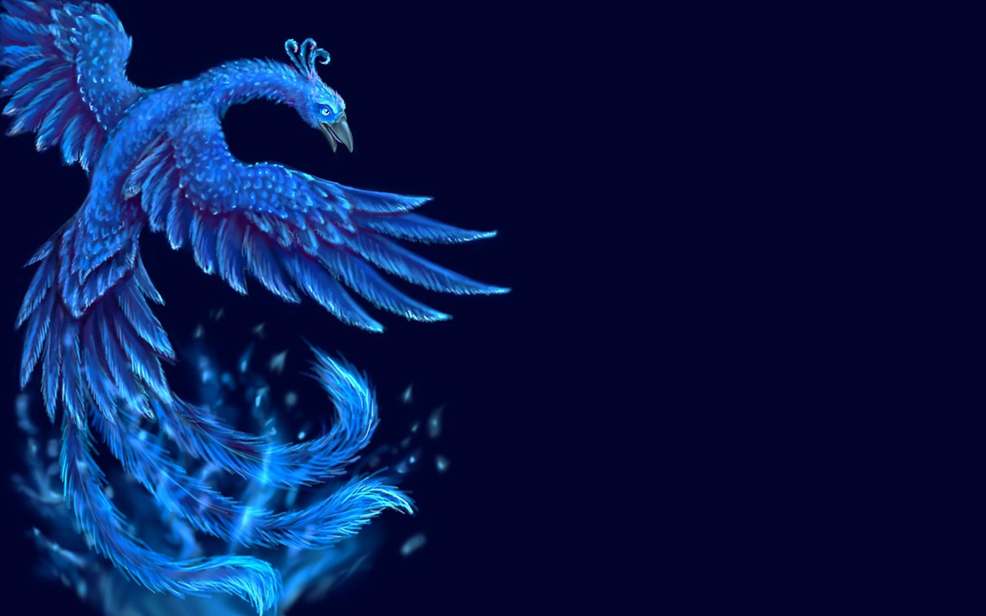 Phoenix Bird Wallpapers Free Download Download Free - 1920x1200 Wallpaper - Phoenix Bird Wallpapers Free Download Download Free - 1920x1200 Wallpaper -