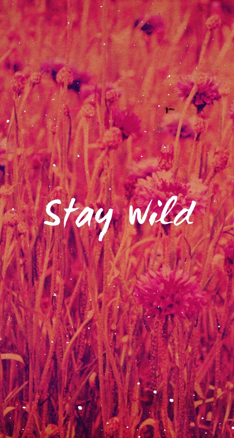 Stay Wild Wallpaper Iphone - HD Wallpaper 
