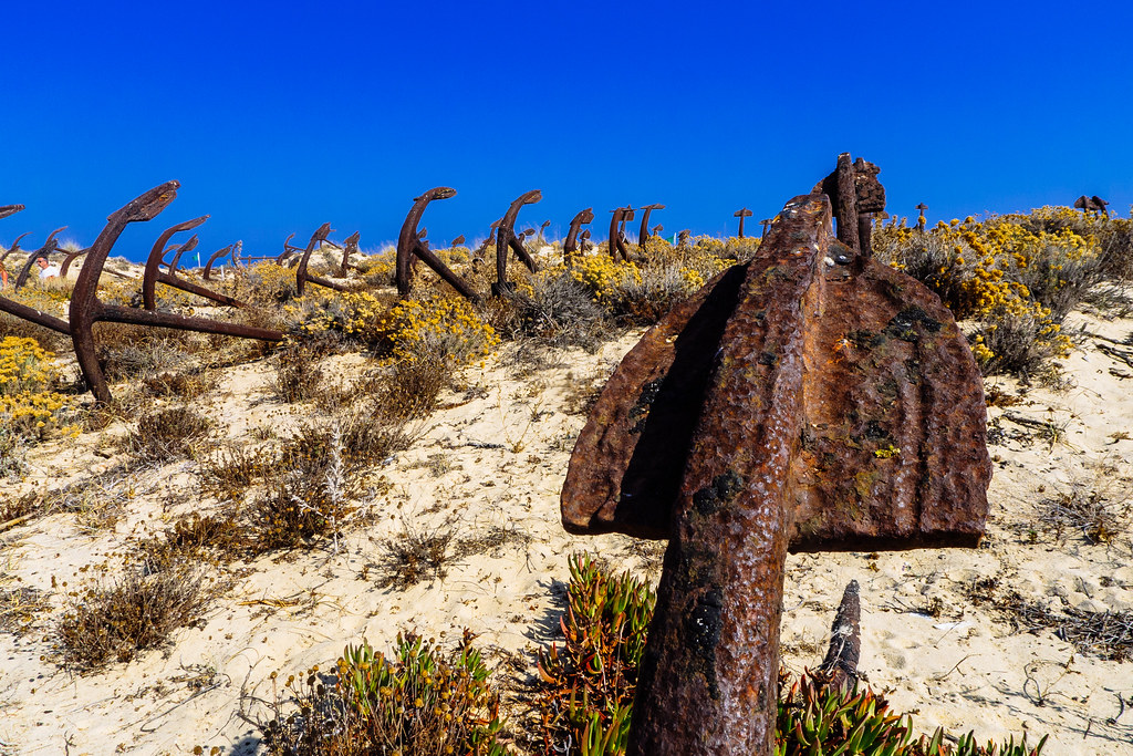 Driftwood - 1024x683 Wallpaper - teahub.io