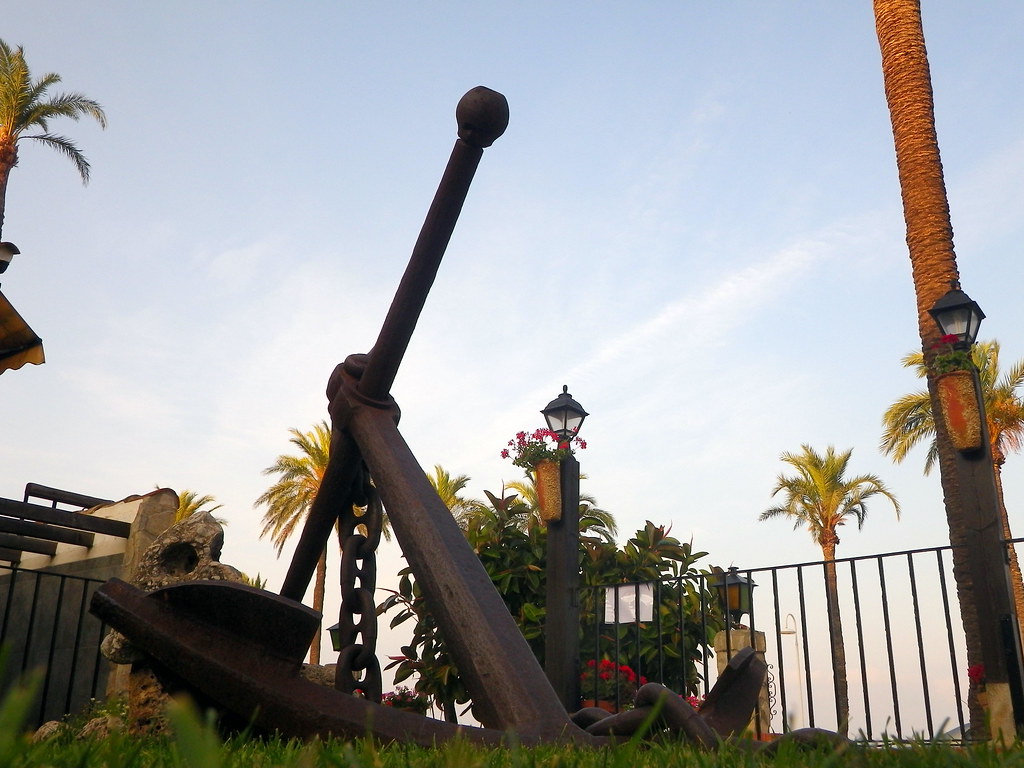 Palm Tree - HD Wallpaper 