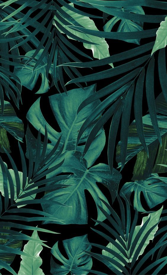 Tropical Jungle Leaves Artwork - HD Wallpaper 