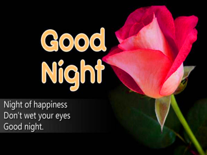 Good Night Hd Rose - HD Wallpaper 