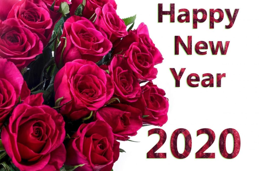 Happy New Year 2020 Hd Images & Wallpapers - Happy New Year 2020 Flower - HD Wallpaper 
