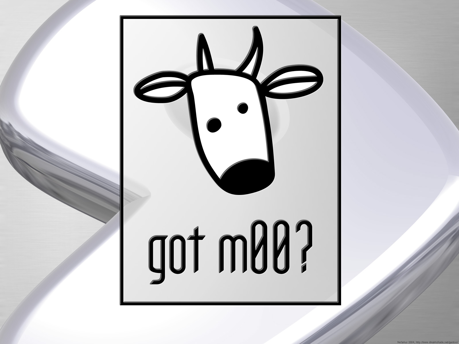 Mountain Goat - HD Wallpaper 