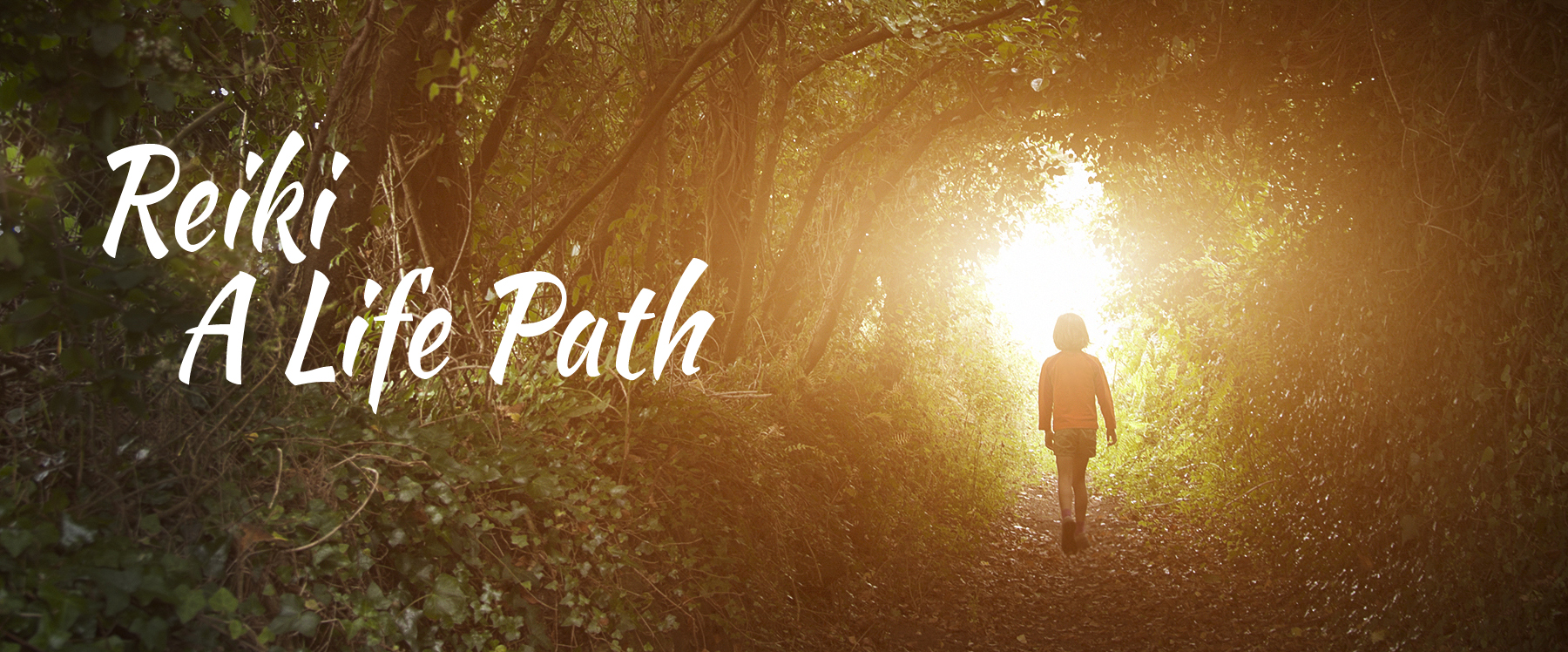 Jay Z In My Lifetime - HD Wallpaper 