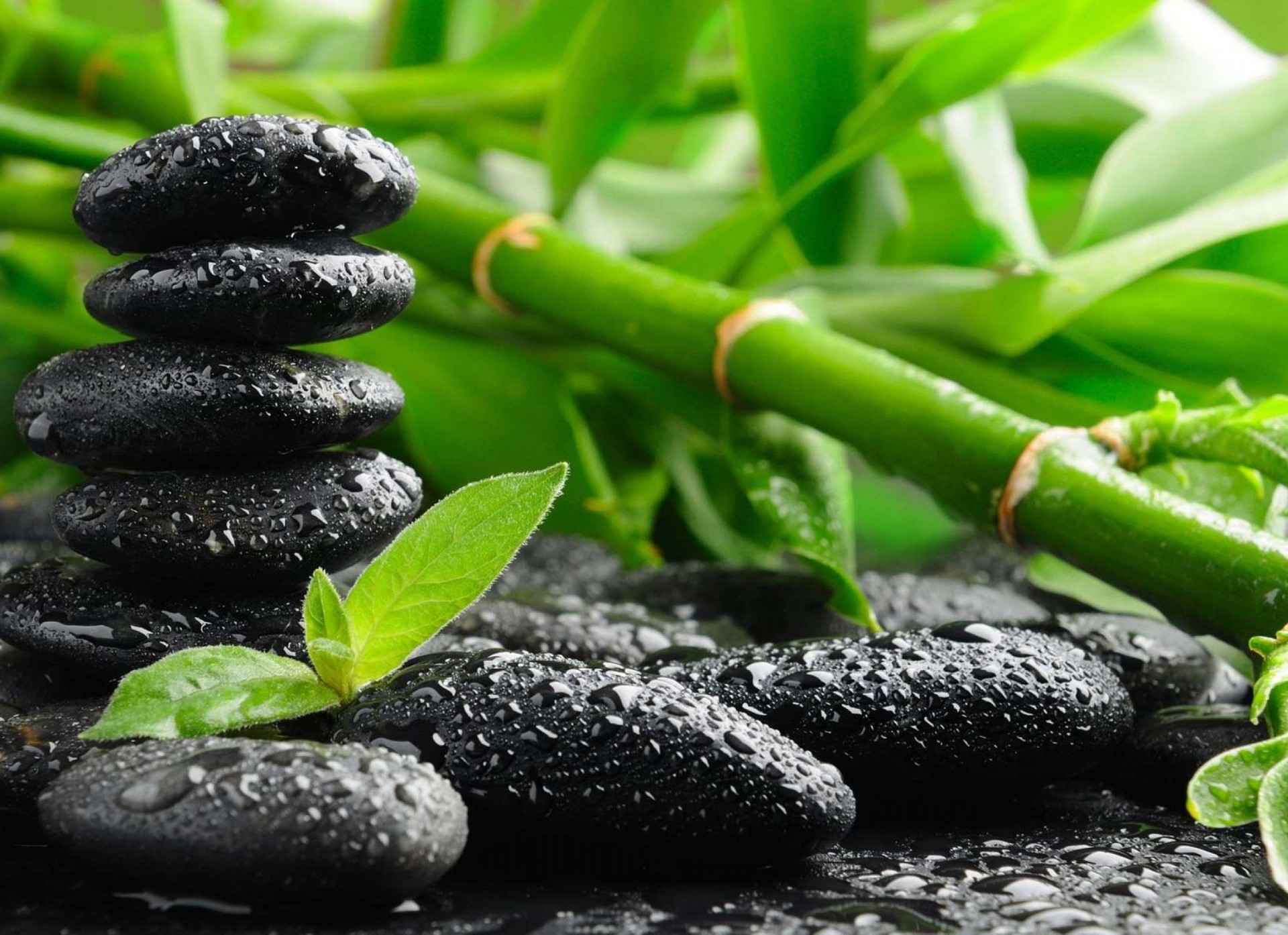 Black Stones, Zen Mood, Water Drops - Zen Background Hd - HD Wallpaper 