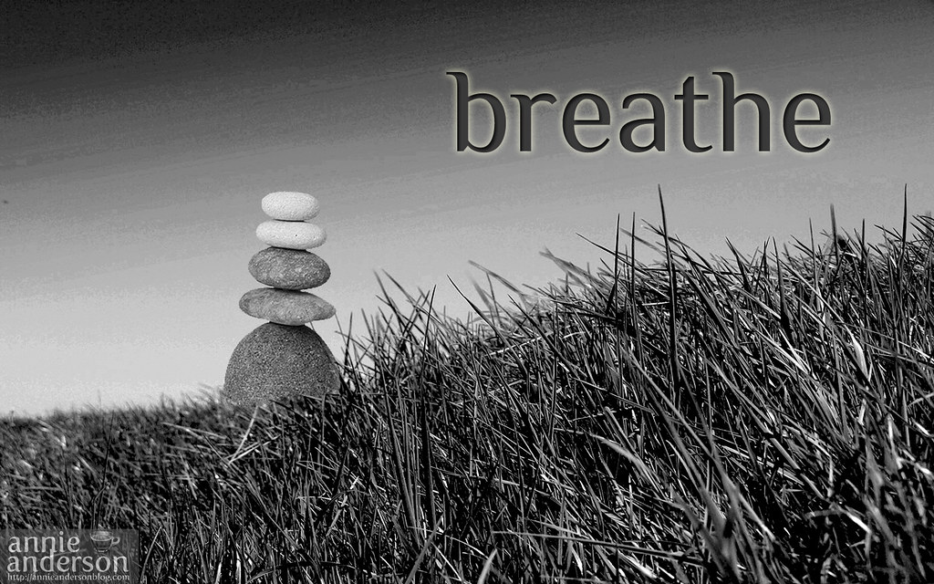 Green Grass - HD Wallpaper 