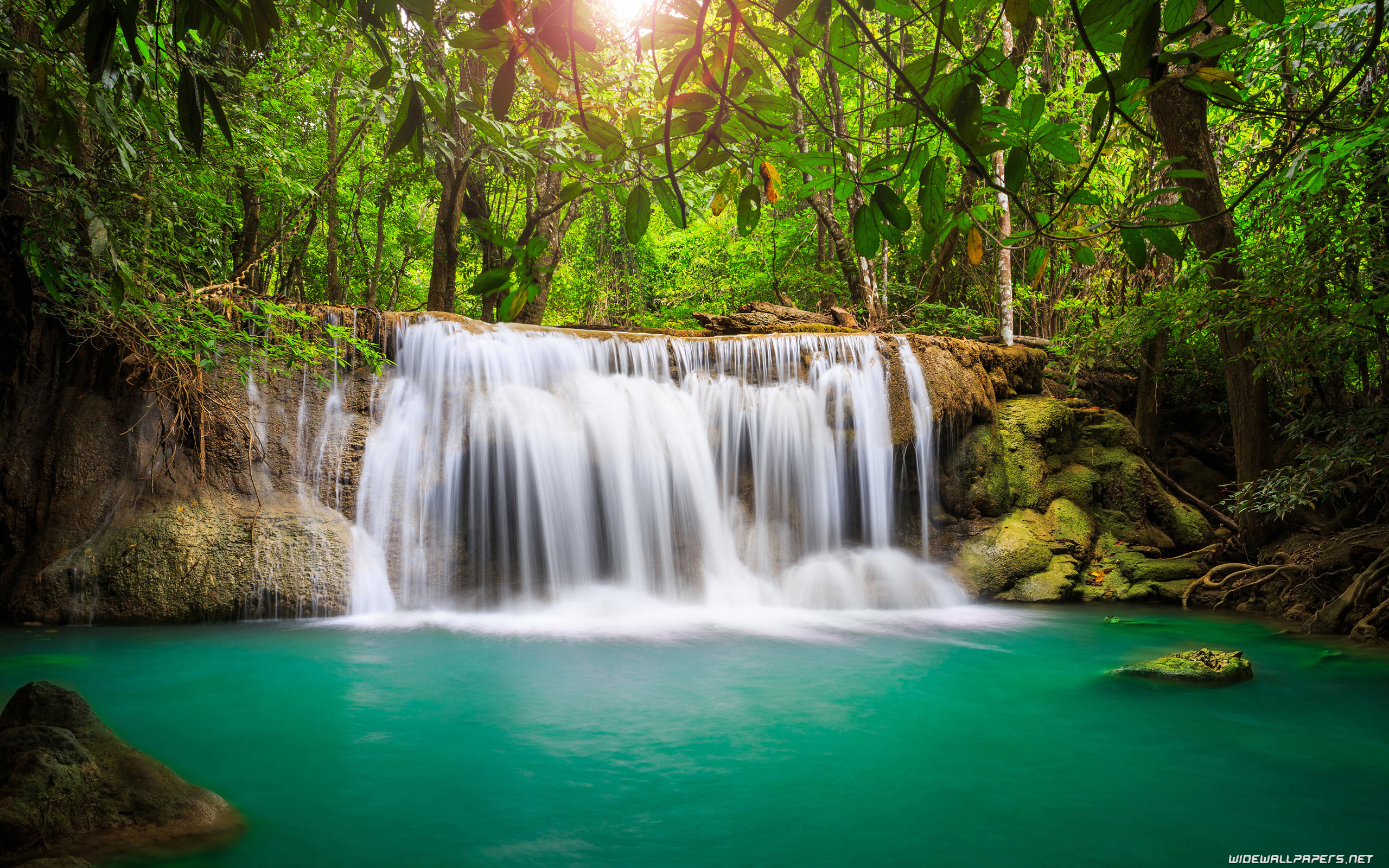 Rain Forest Water Falls - HD Wallpaper 