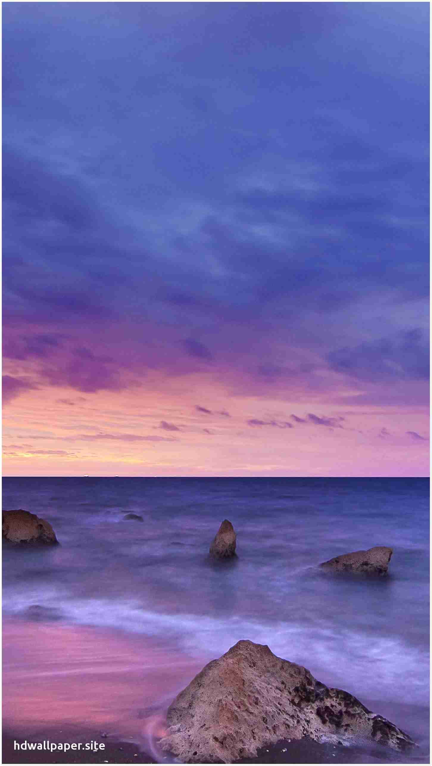Wallpaper - HD Wallpaper 