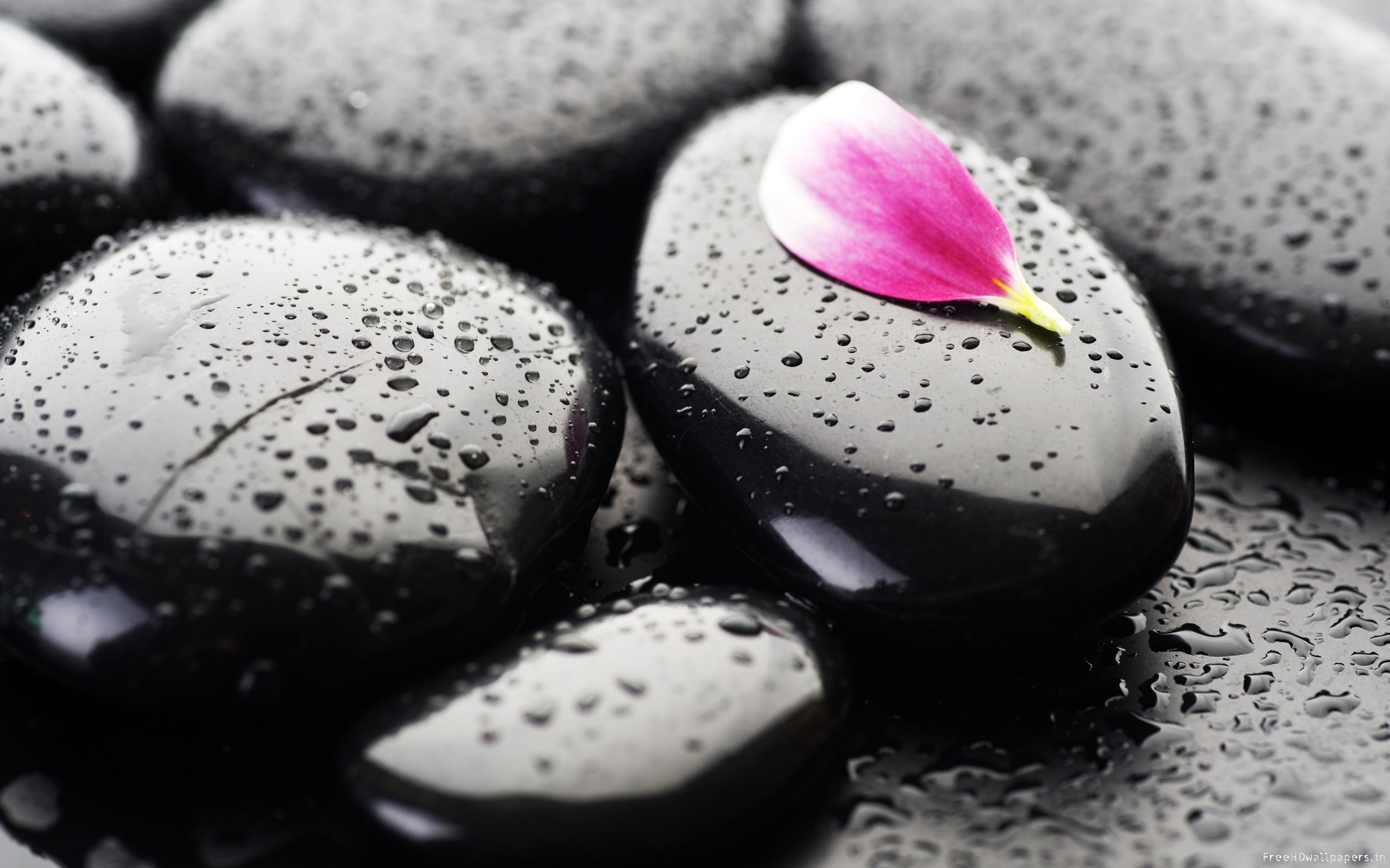Download Hd Zen Computer Wallpaper Id - Hd Wallpaper Of Pebbles - HD Wallpaper 