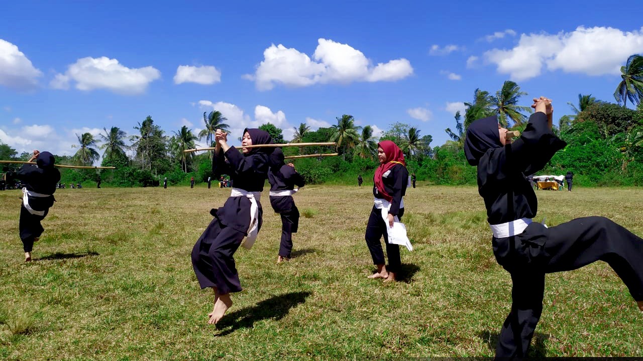 Gambar - Grass - HD Wallpaper 